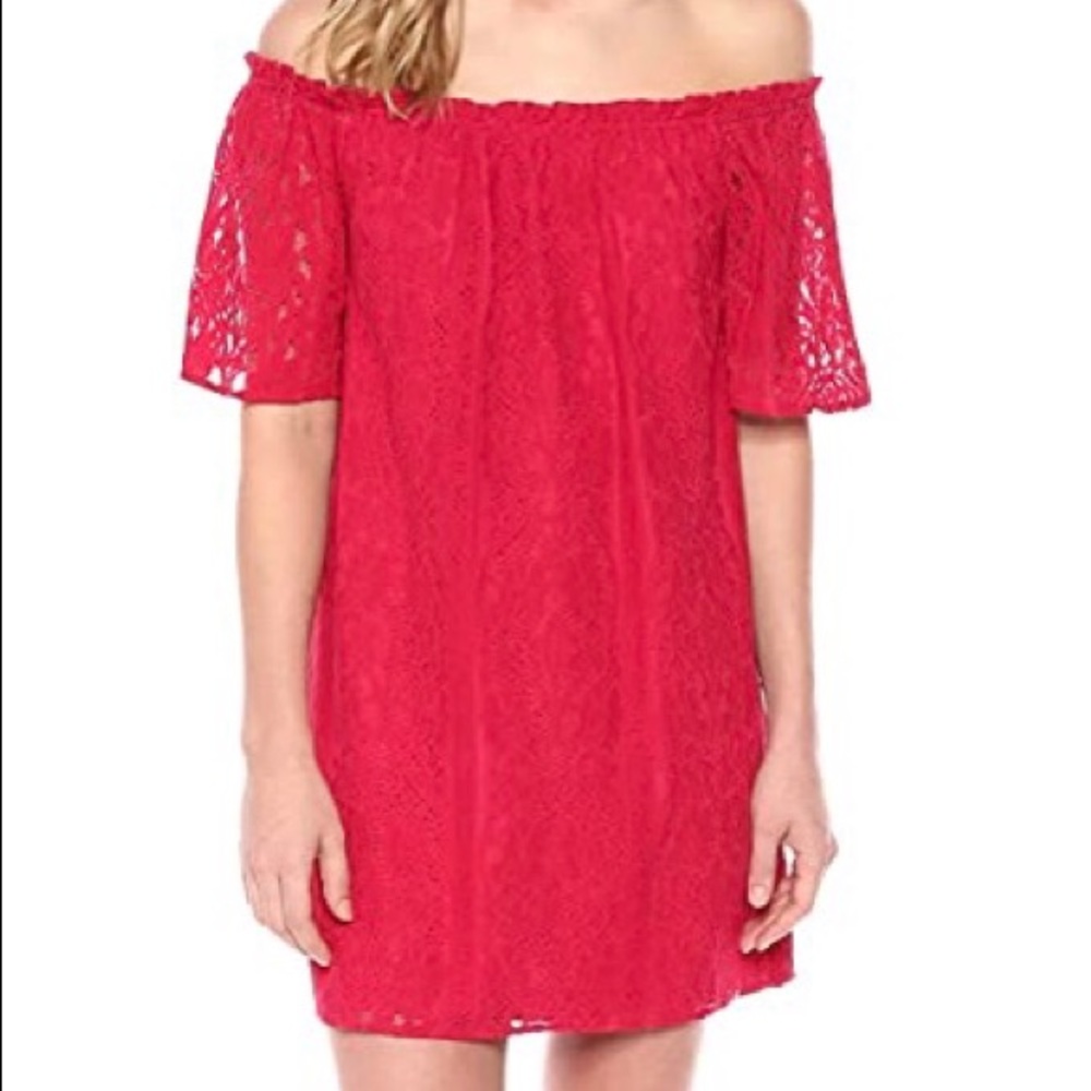 BB Dakota Dress